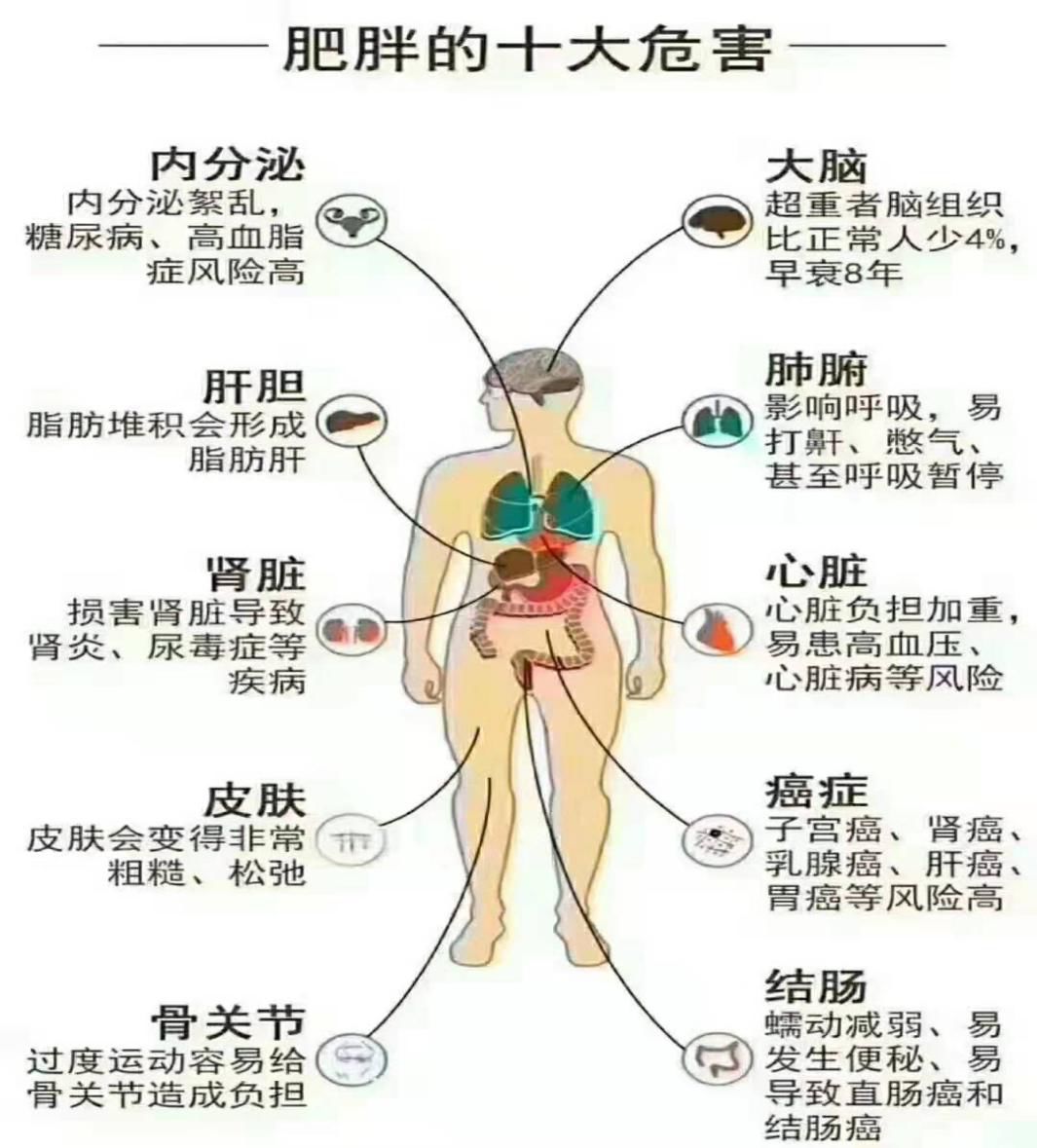 茶叶种植管理 第88页