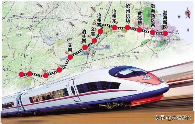 武夷山岩茶 第90页