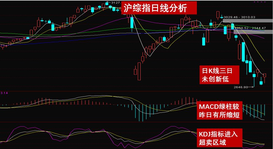 仁果类水果 第68页