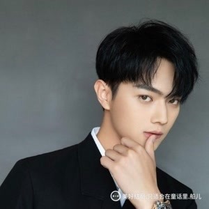 2024新奥资料免费公开，效率评估方案_FNY77.834电影版