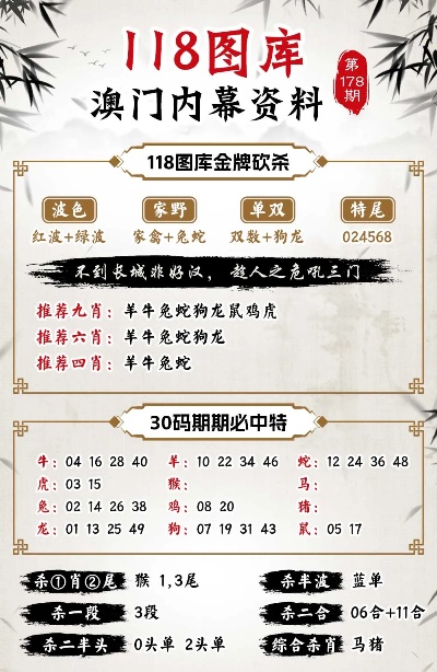 2024澳门今晚必开一肖,稳固执行战略分析_FSL77.359影音体验版