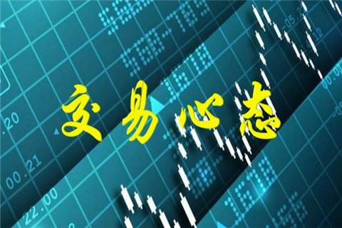 真实政治最新版，探索现代政治新趋势