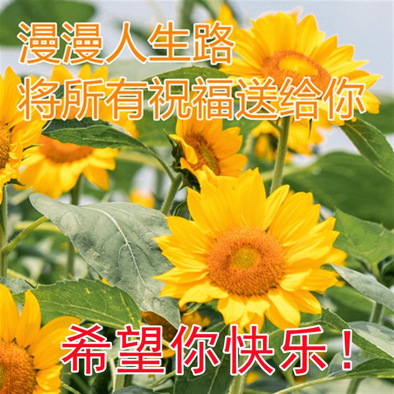 中国足球破茧成蝶，自信铸就梦想新篇章