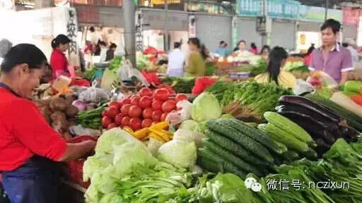 南昌与深圳蔬菜报价对比，最新报价及观点阐述