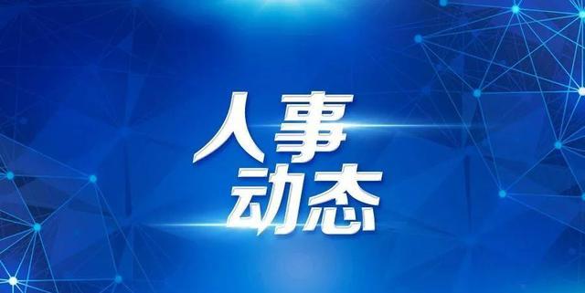 四川人事任免动态更新