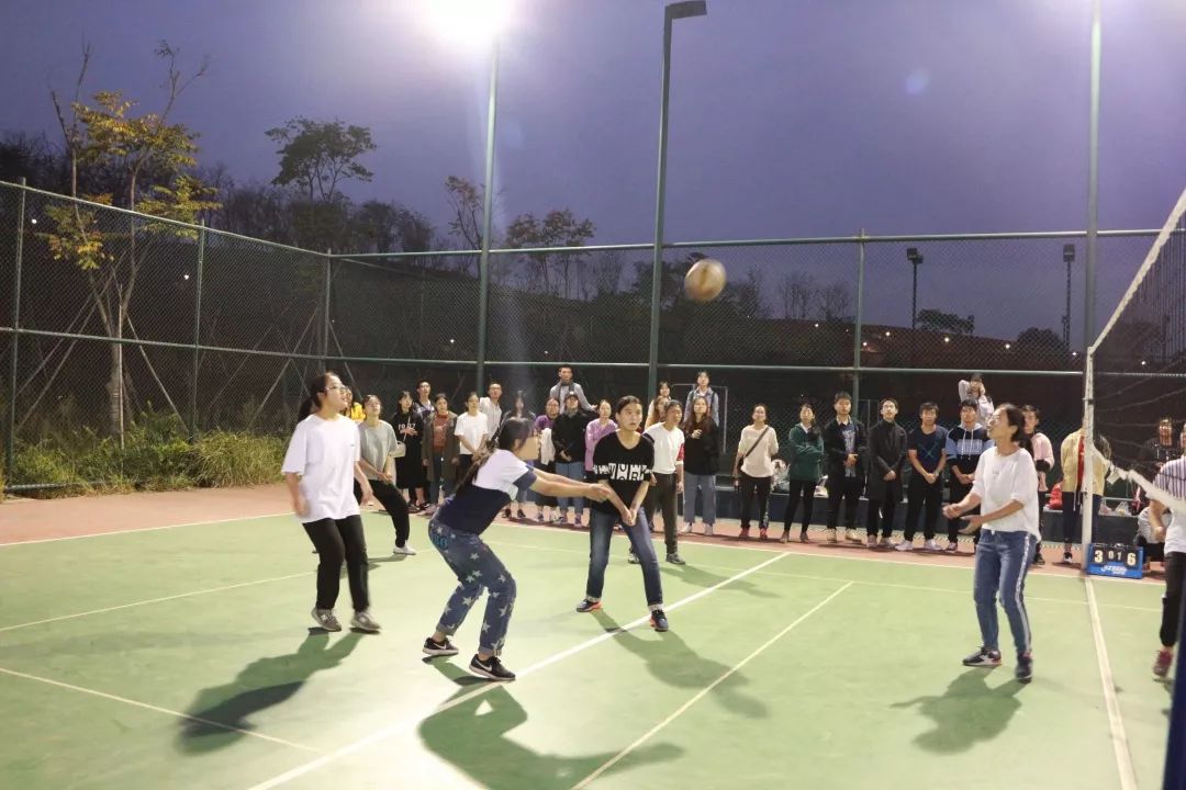 排球比赛,策略、激情与团队精神的较量