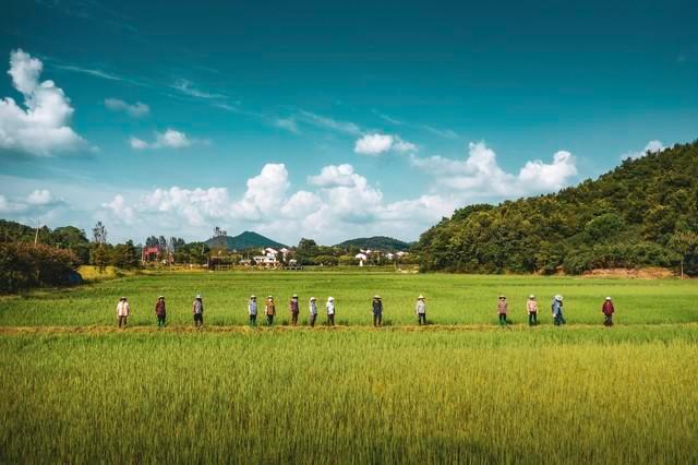 小香丘资讯，探索新时代乡村发展与变革之路