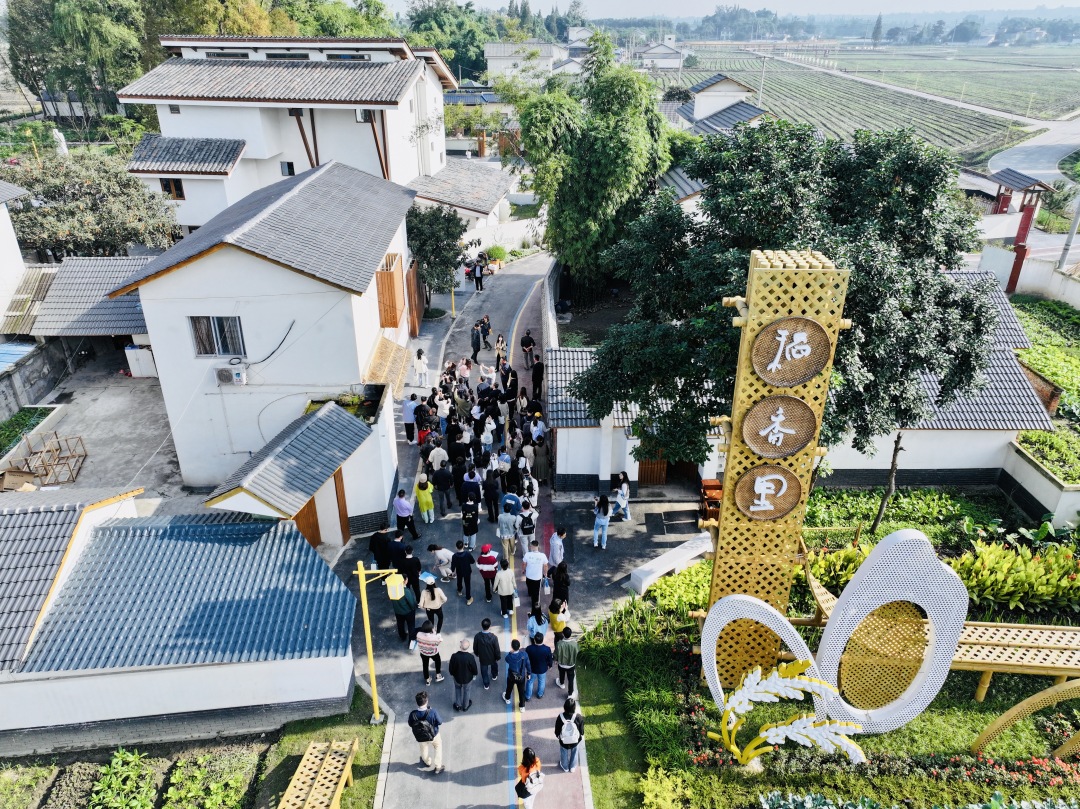 小香丘资讯,探索新时代乡村发展与变革之路